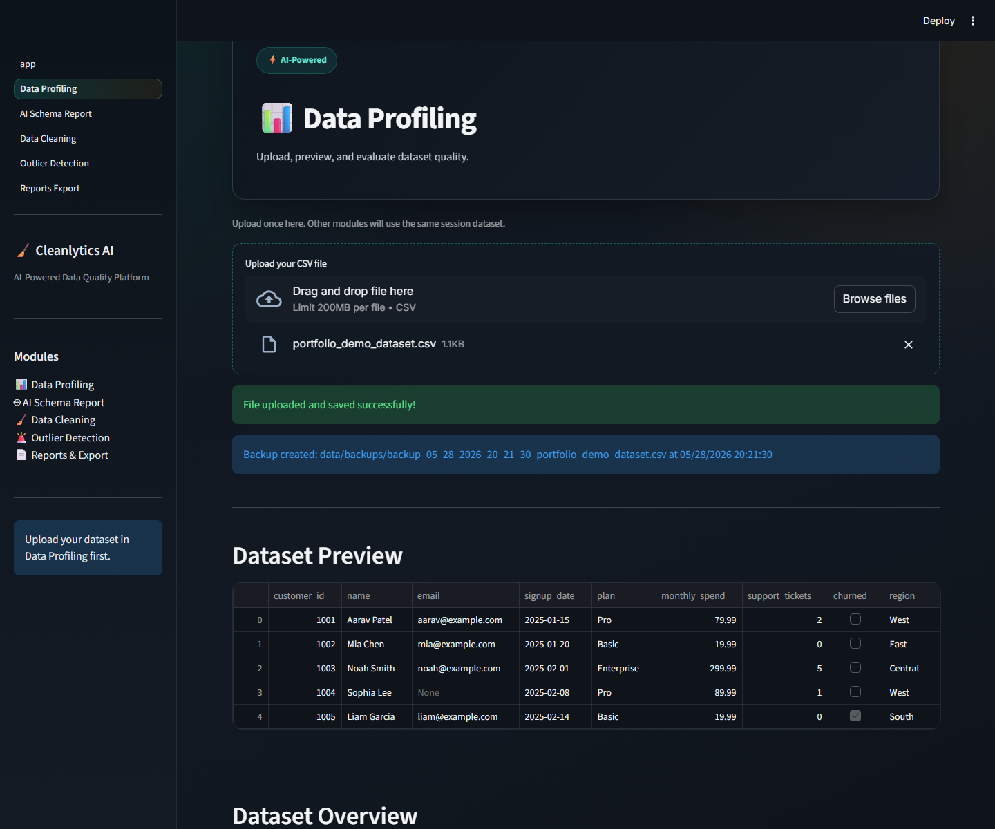 Uploaded Dataset Profiling