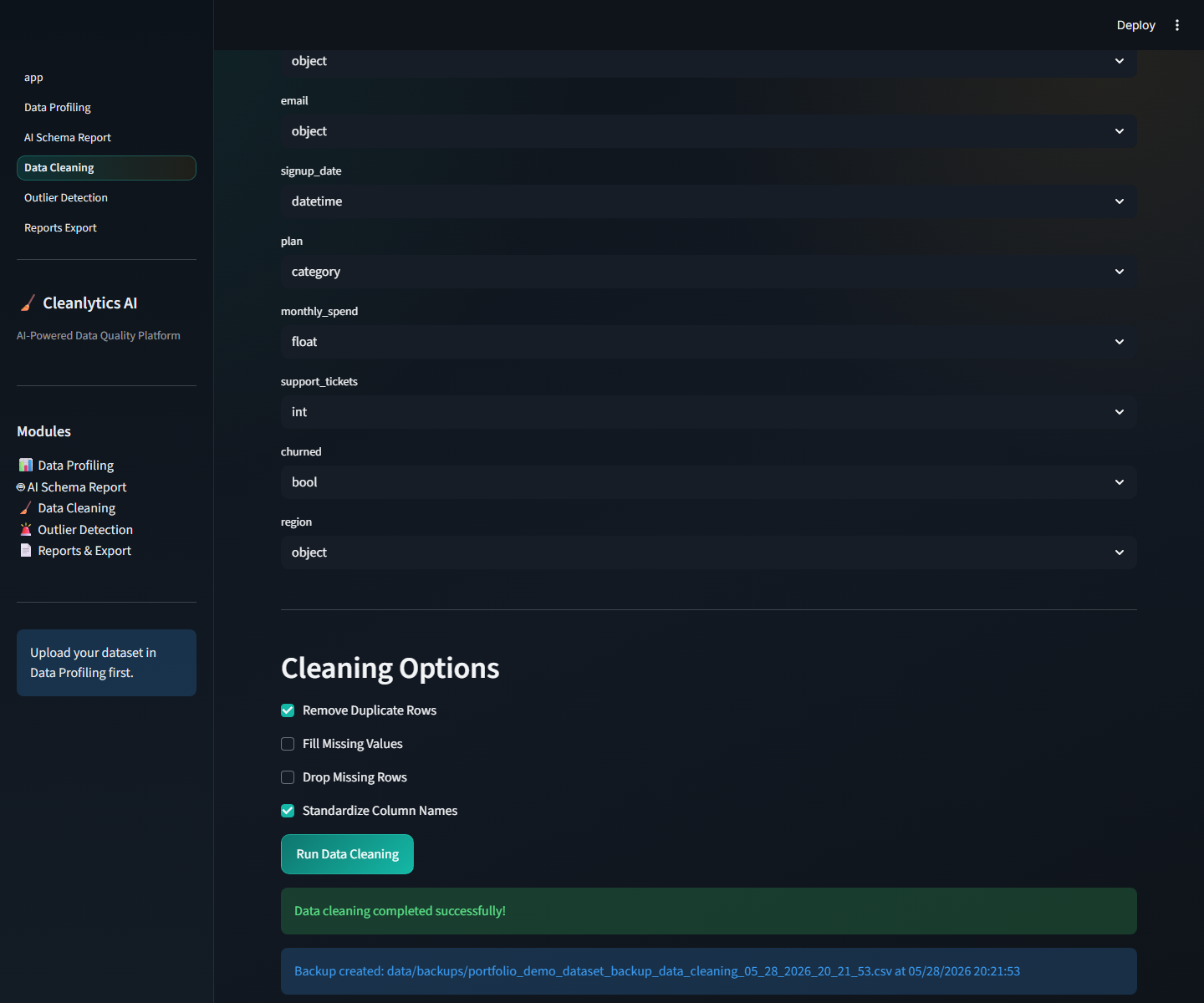 Data Cleaning Results