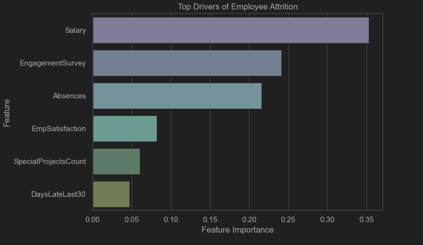 Feature Importance (Model Explainability)